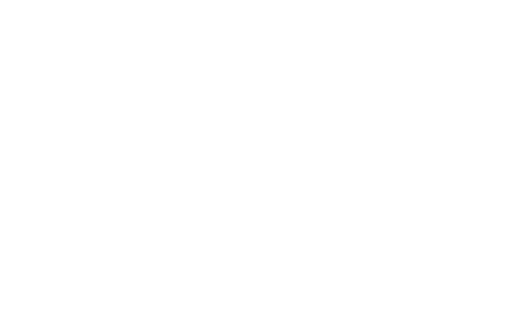 LoveRaw logo